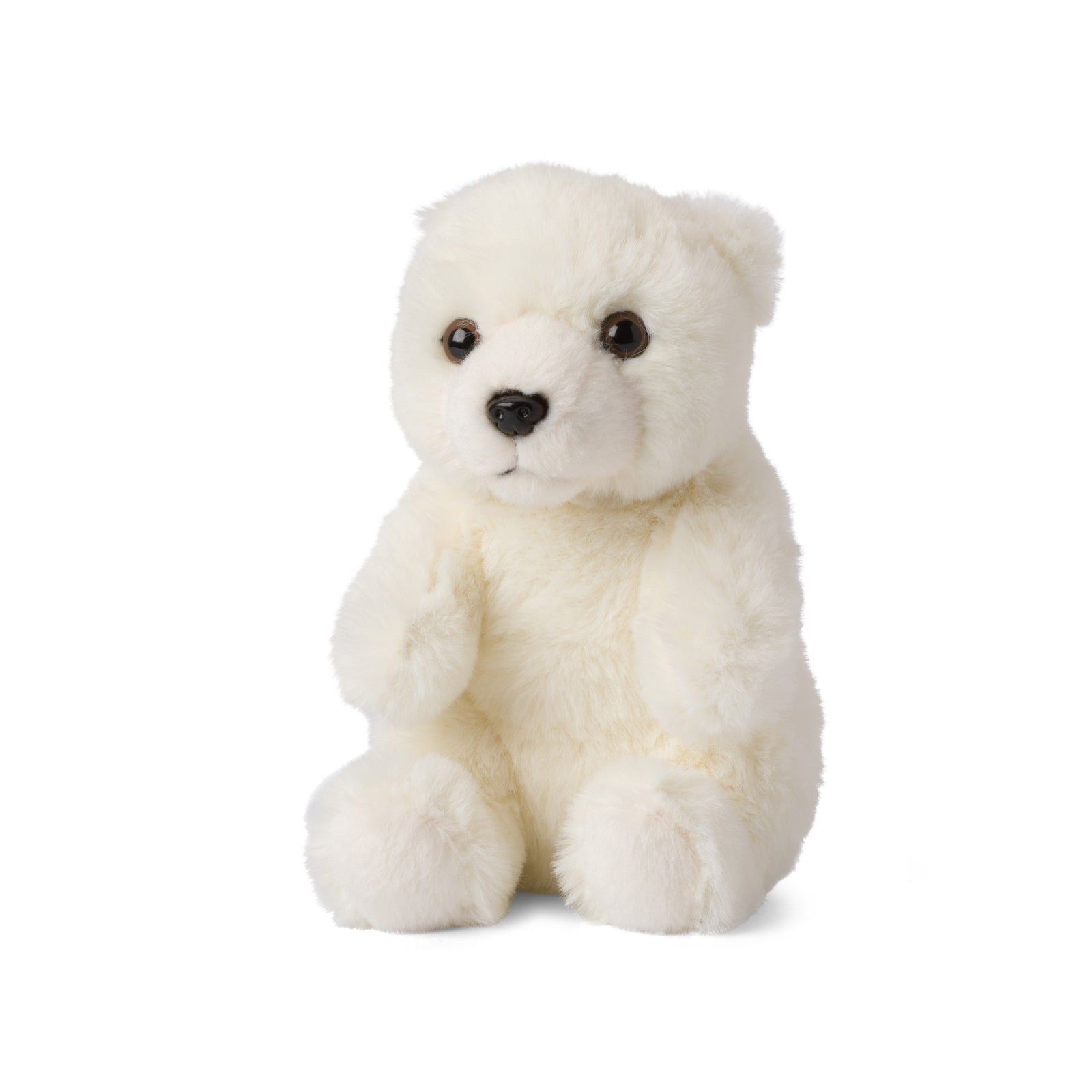 Ours Polaire Peluche
