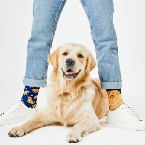 Chaussettes motifs chien