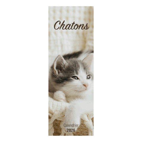 Calendrier long "Chatons" - 2026
