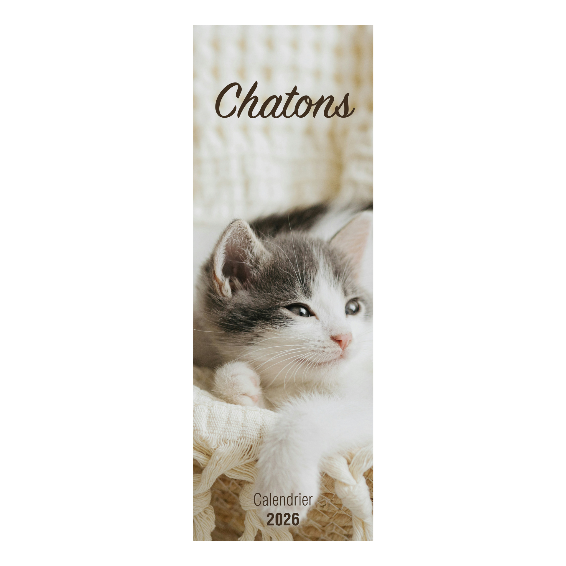 Calendrier long "Chatons" - 2026