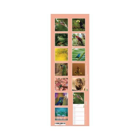 Calendrier long "Oiseaux" - 2026
