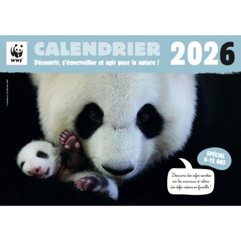 Calendrier panda 2026