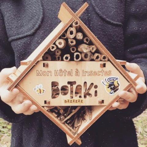 Kit Hôtel à insectes