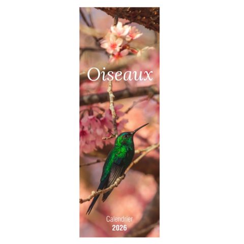 Calendrier long Oiseaux 2026