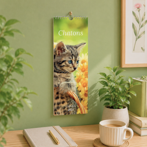 Calendrier long - Chatons 2027